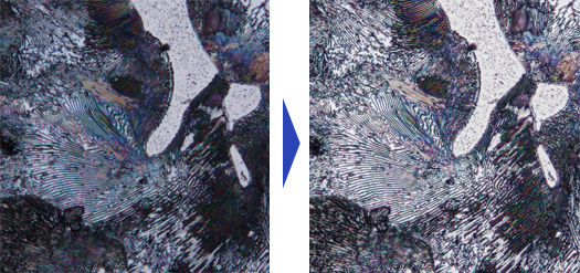 無論是暗視場影像還是DIC影像，“HDR”都可以一鍵完成清晰觀察。