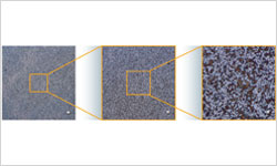 實現(xiàn)無縫倍率轉換